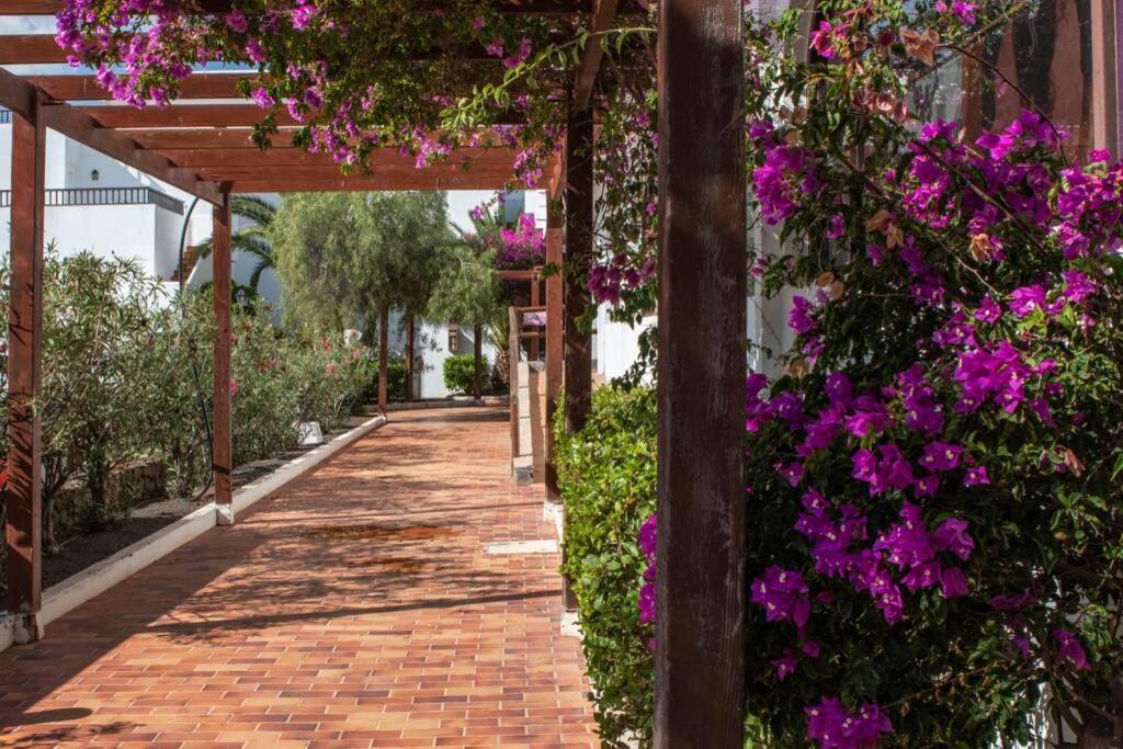 The Colors House Apartment Costa Teguise Luaran gambar